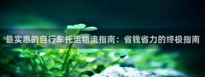 28圈不给提现：最实惠的自行车托运物