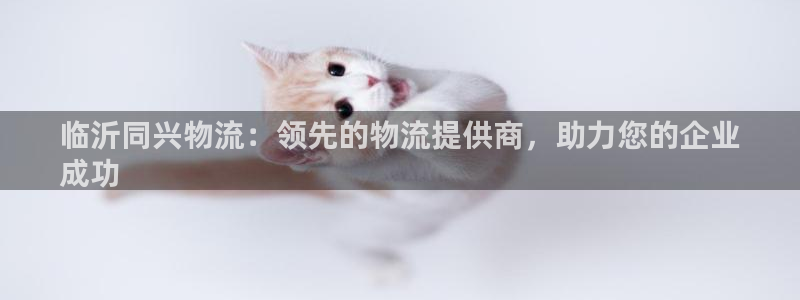 28圈加拿大2.8预测在线预测：临沂