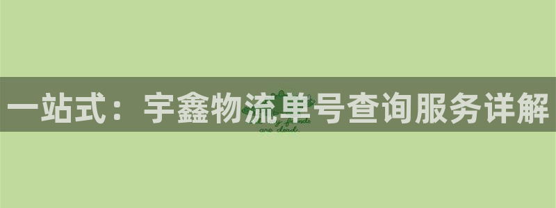 28圈官方官网