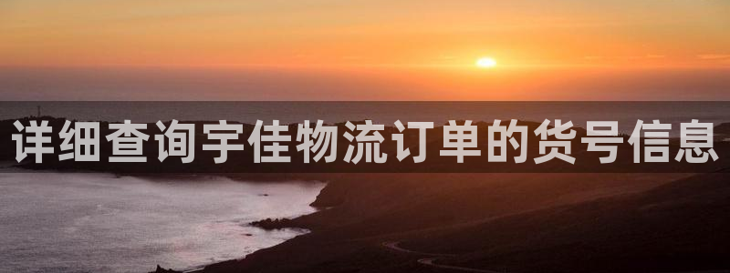 28圈在线预测官网