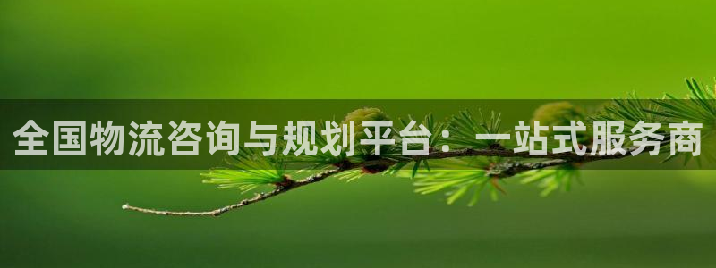 28圈app官网少林足球