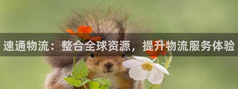 28圈注册网页版