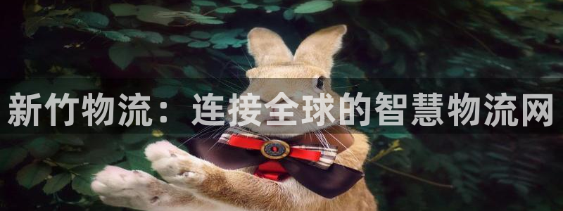 28圈在线预测