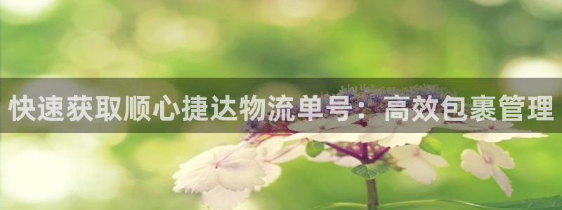 28圈充值为什么充不了