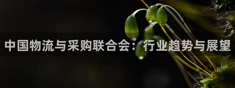28圈.ccm