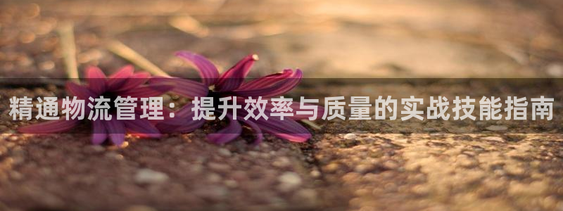 28圈加拿大6.0
