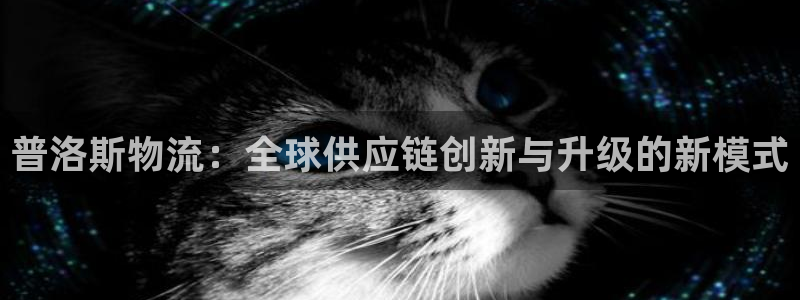 28圈官方平台