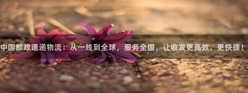 28圈注册用户名是什么