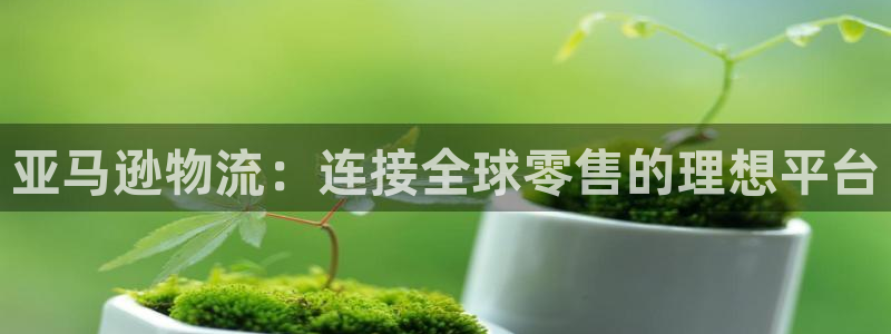28圈头像