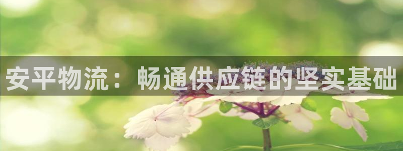 28圈充值不到账什么原因：安平物流：