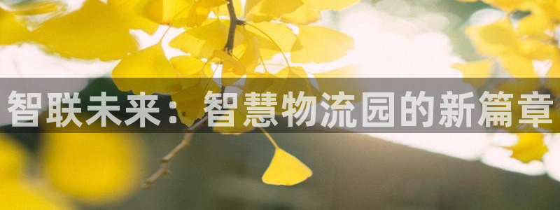 28圈注册网站链接：智联未来：智慧物