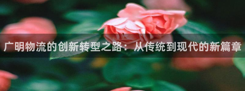 28圈推广链接是多少：广明物流的创新