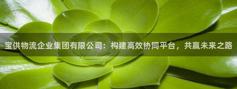 28圈客服一直不回消息怎么办：宝供物流企业集团有限公司：构建