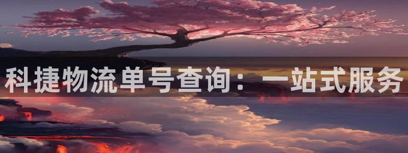 28圈加拿大28：科捷物流单号查询：