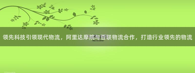 28圈下分了不给钱：领先科技引领现代物流，阿里达摩院与百联物