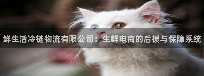 28圈加拿大官网：鲜生活冷链物流有限