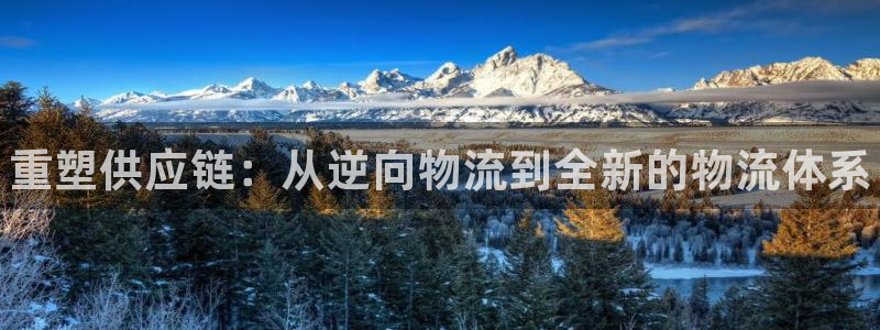28圈官网多少：重塑供应链：从逆向物