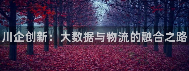 28圈软件:川企创新:大数据与物流的