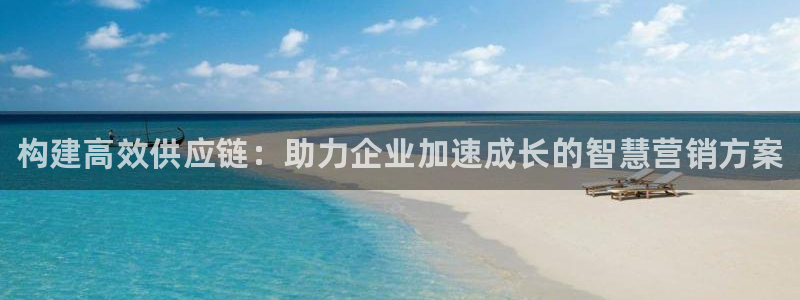 28圈正规吗?:构建高效供应链:助力