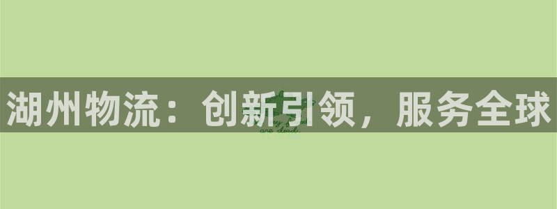 28圈提现不到账：湖州物流：创新引领