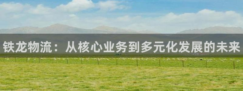 28圈赌博软件正规吗:铁龙物流:从核