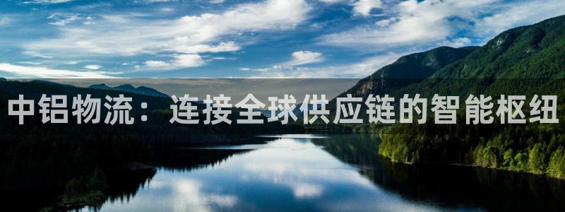 28圈选28ng官网：中铝物流：连接