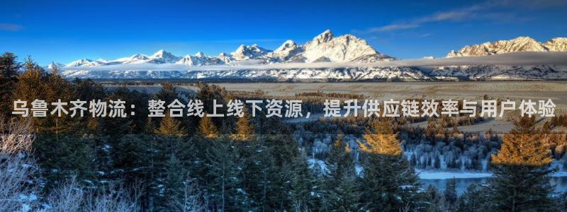 28圈激活码：乌鲁木齐物流：整合线上