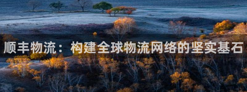 28圈注册步骤：顺丰物流：构建全球物