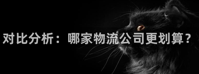 28圈注册网站多少钱一个：对比分析：