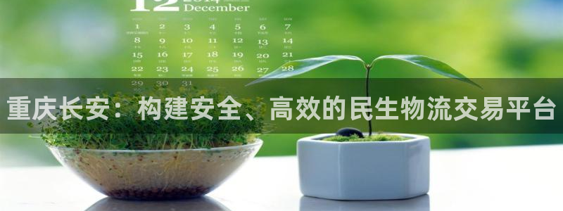 28圈充值不处理怎么办：重庆长安：构