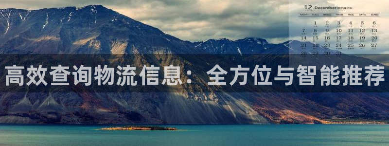 28圈游戏官网版：高效查询物流信息：