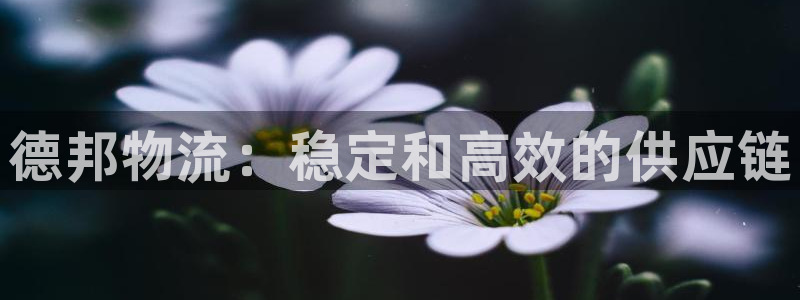 28圈比特28真实吗：德邦物流：稳定