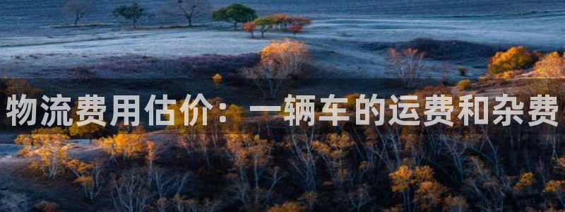 28圈p扣除是什么意思:物流费用估价