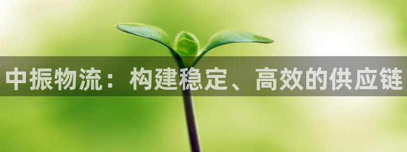 28圈官网版所有版本:中振物流:构建