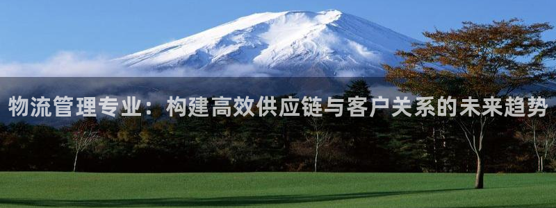 28圈注册网站多少钱一个：物流管理专