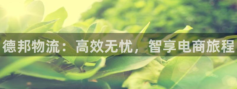 28圈充值不到账怎么回事:德邦物流: