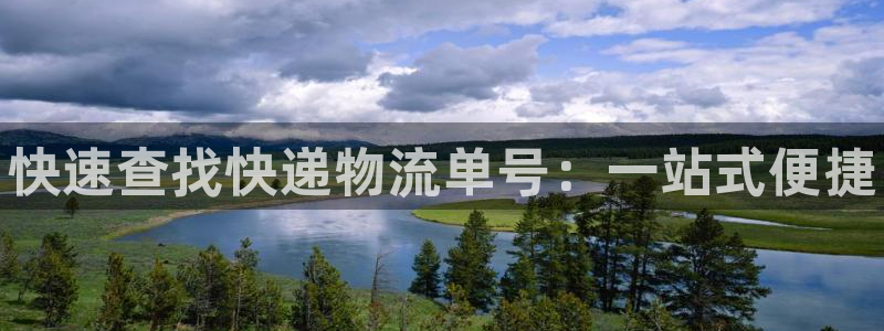 28圈客服电话:快速查找快递物流单号