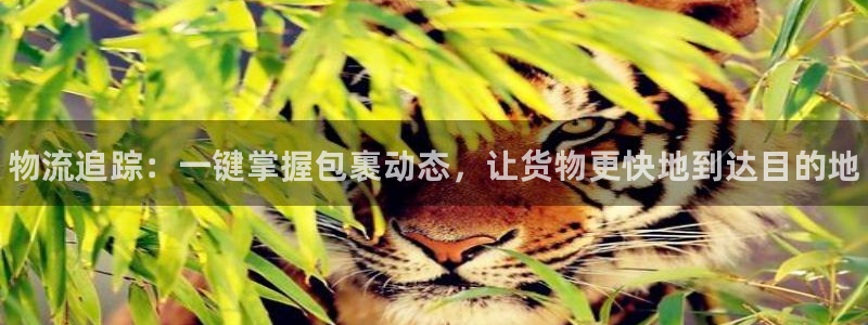 28圈官网链接：物流追踪：一键掌握包裹动态，让货物更快地到达