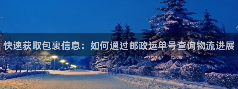 28圈图片:快速获取包裹信息:如何通