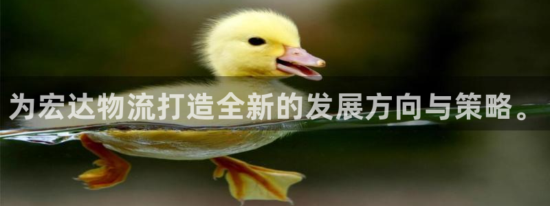 28圈正规吗?：为宏达物流打造全新的