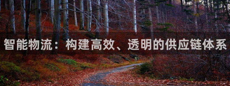 28圈官网下载链接是什么:智能物流: