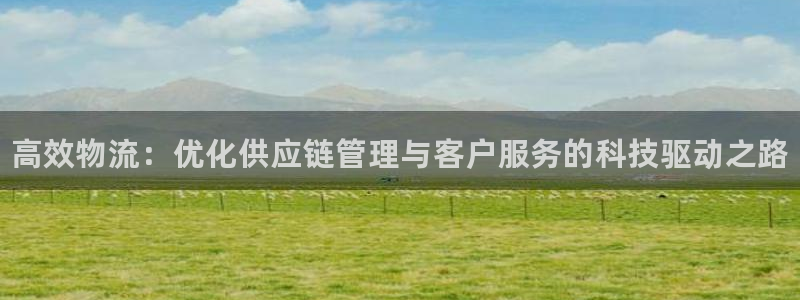 28圈黑吗:高效物流:优化供应链管理