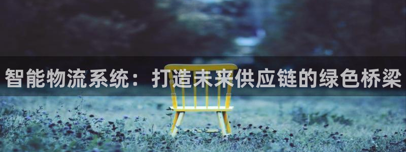 28圈p扣款什么意思:智能物流系统: